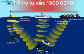 Các yêu cầu đặc biệt đối với việc sử dụng hoặc vận chuyển dầu trong vùng Nam Cực